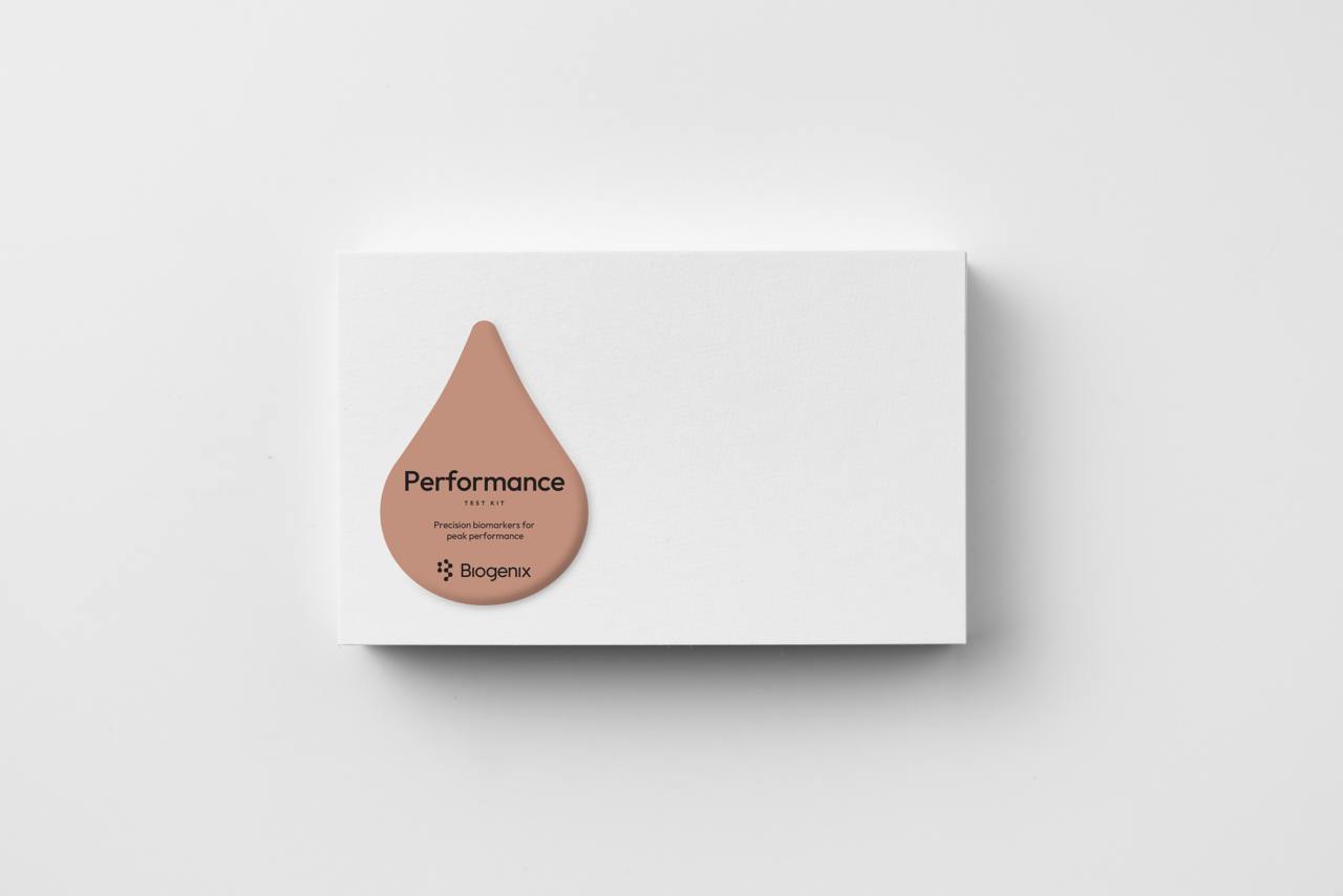Performance Test